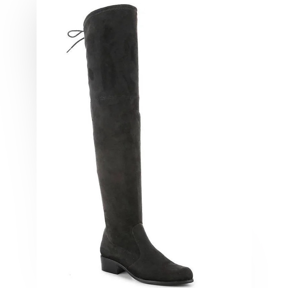 NWOT Charles By Charles David Gammon Womens Over-The-Knee Boot